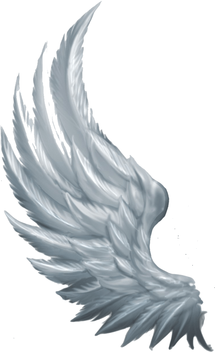 Angel wings png