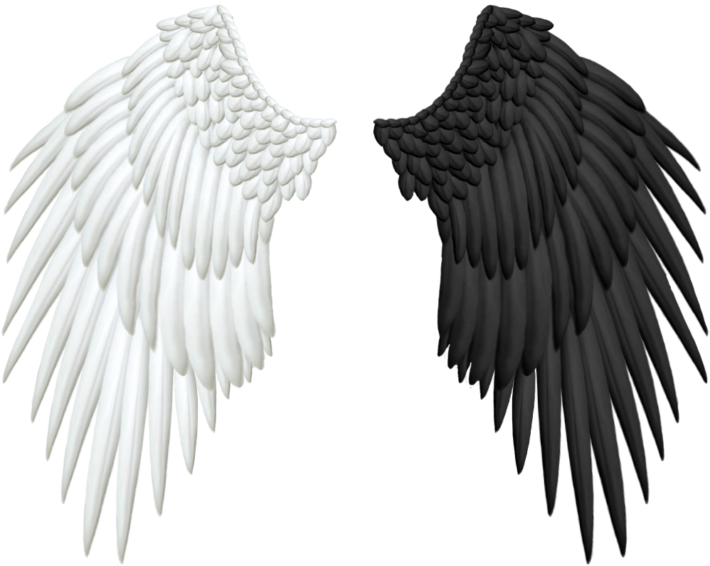 Angel wings png