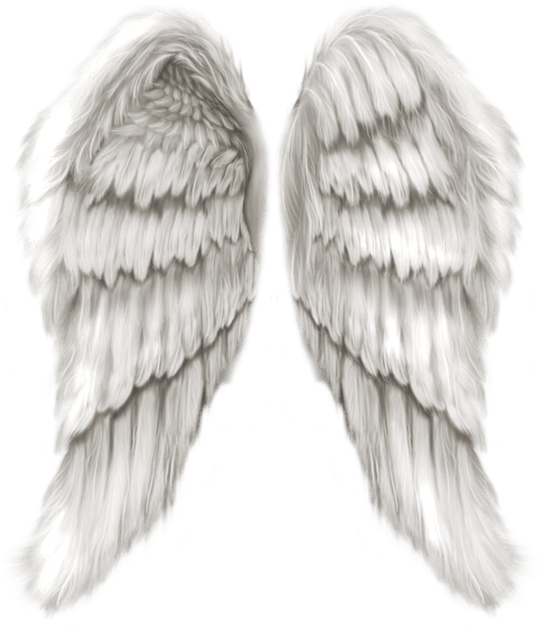 Angel wings png