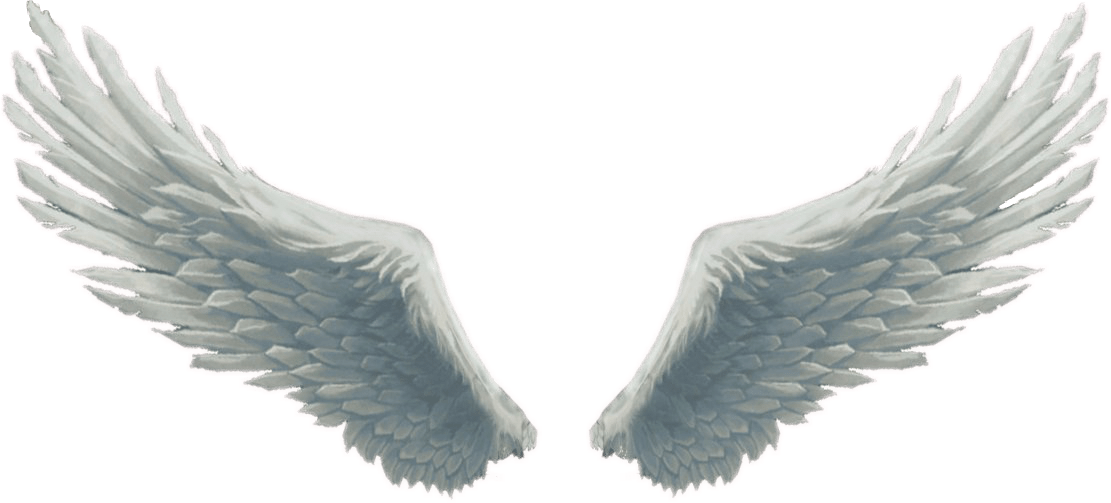 Angel wings png