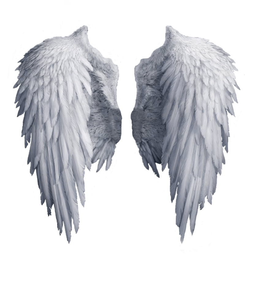 Angel wings png