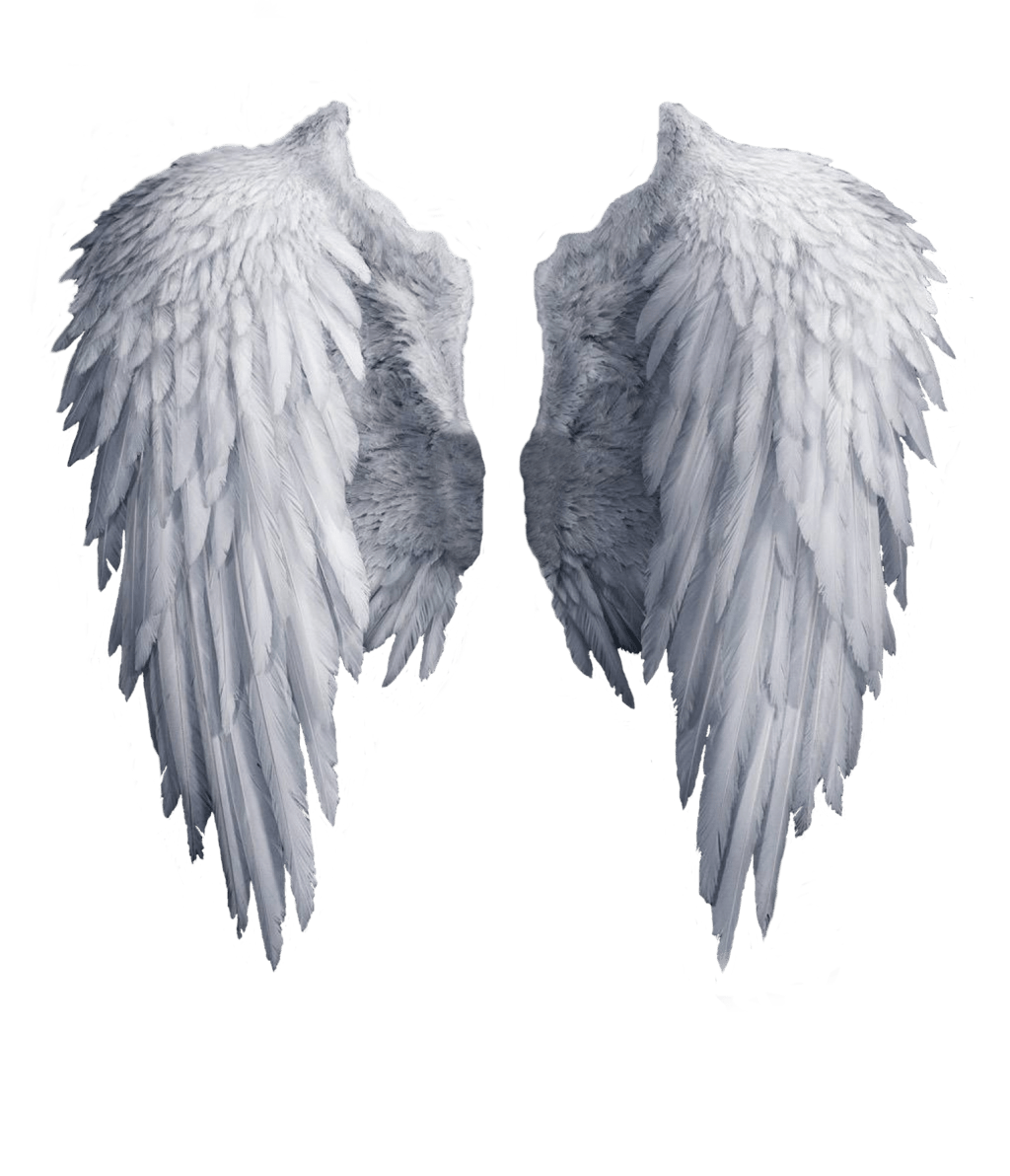 Angel wings png