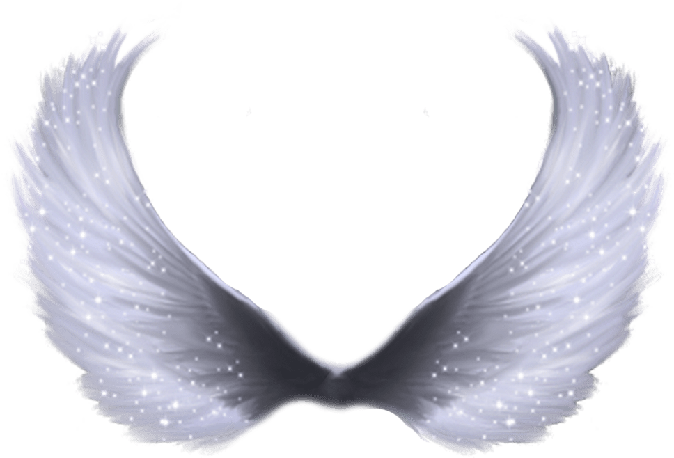 Angel wings png