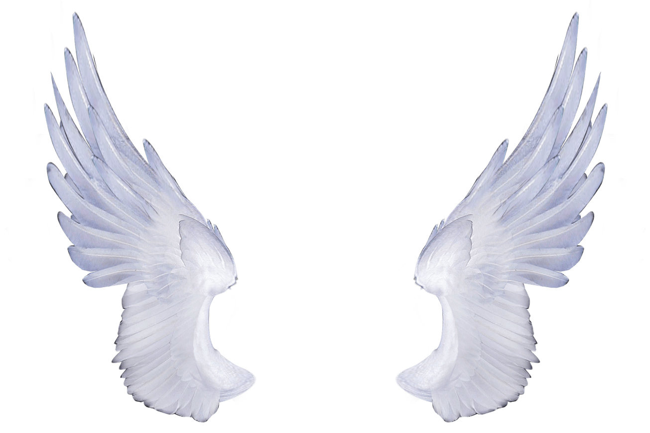 Angel wings png