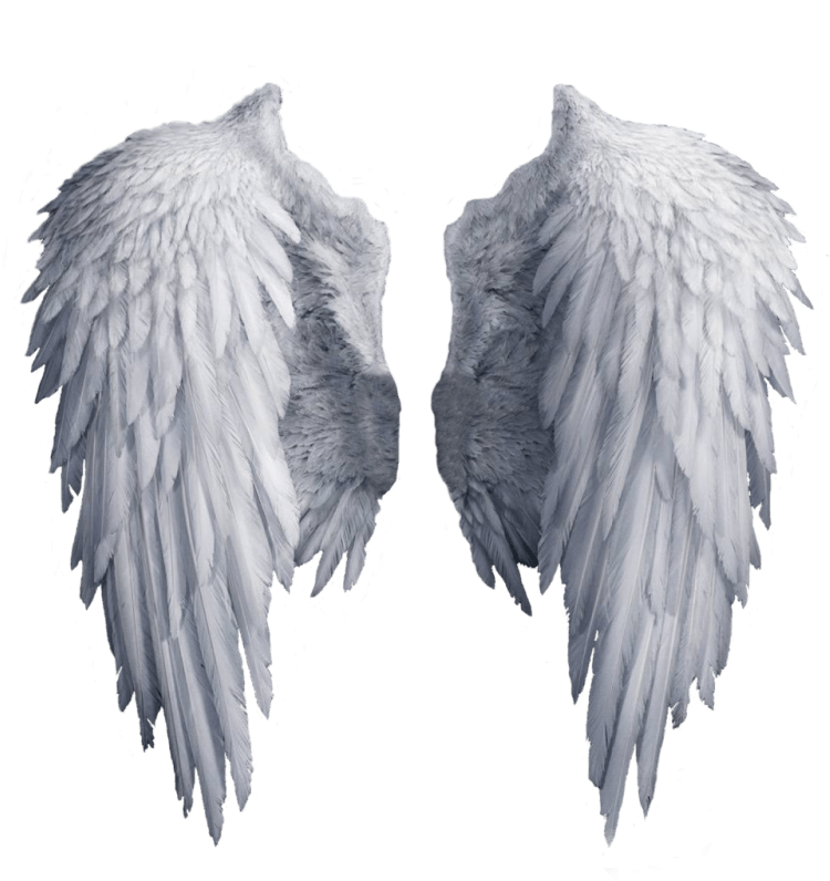 Angel wings png