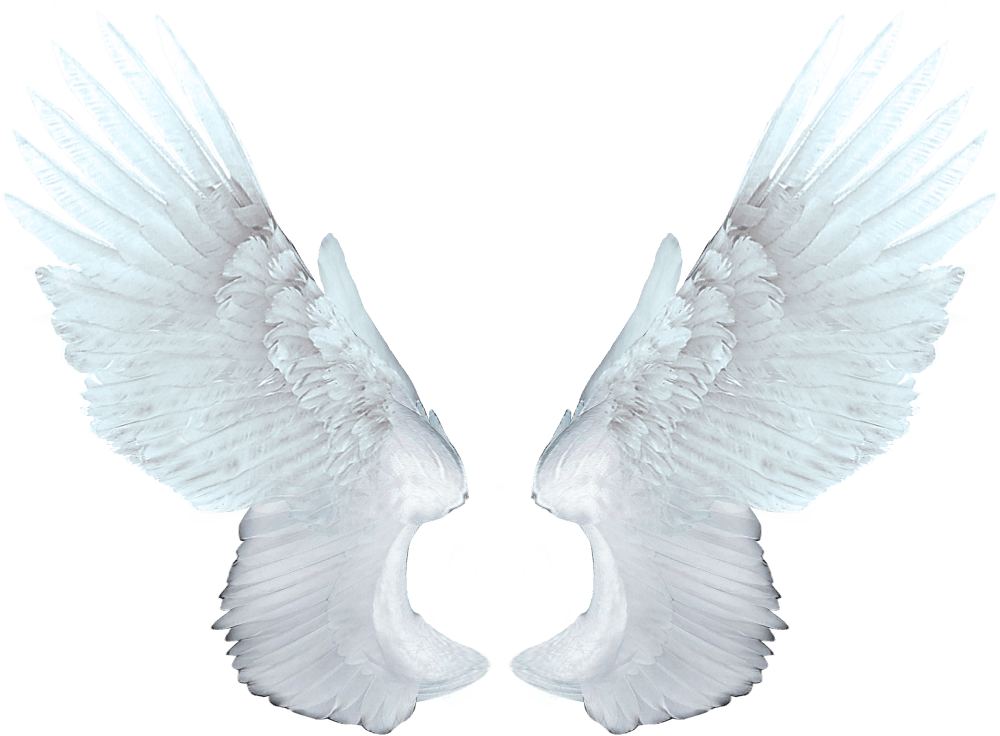 Angel wings png