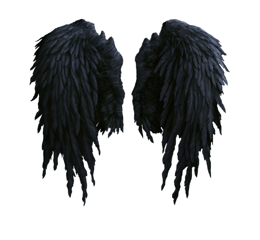Angel wings png