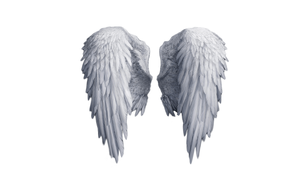 Angel Wings PNG