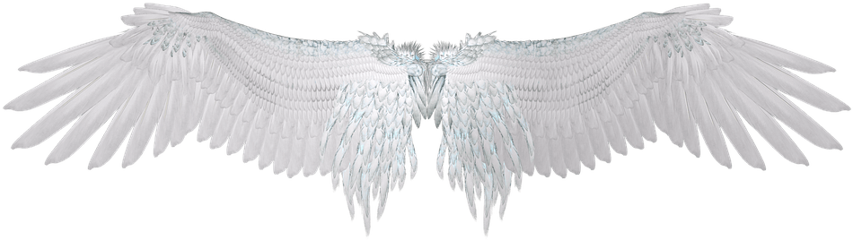 Angel Wings PNG