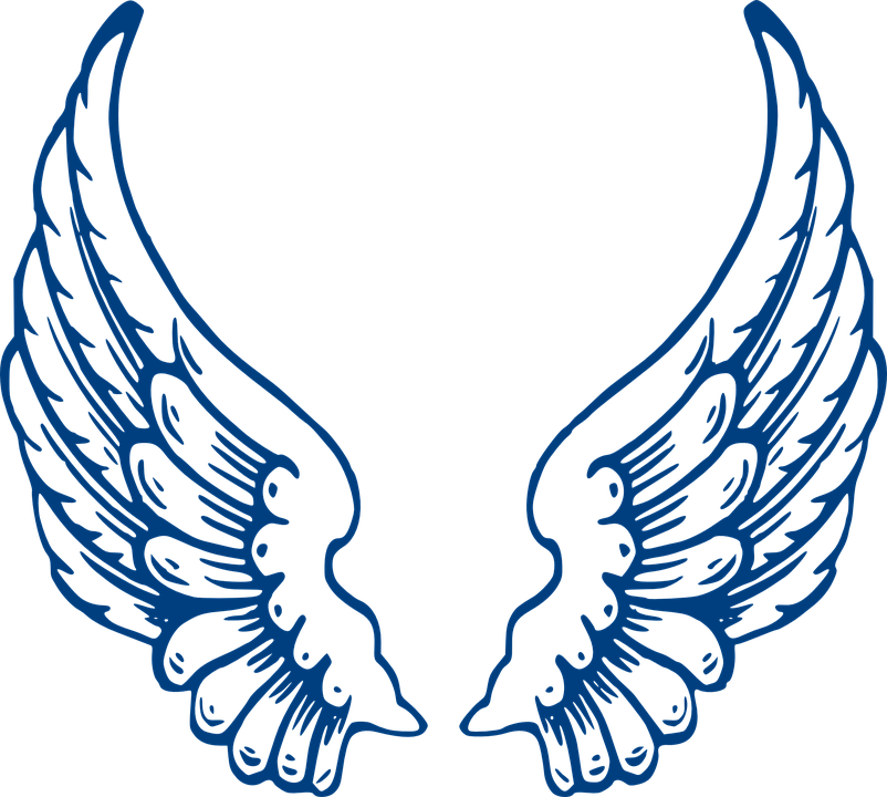 Angel Wings PNG