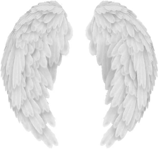 Angel Wings PNG