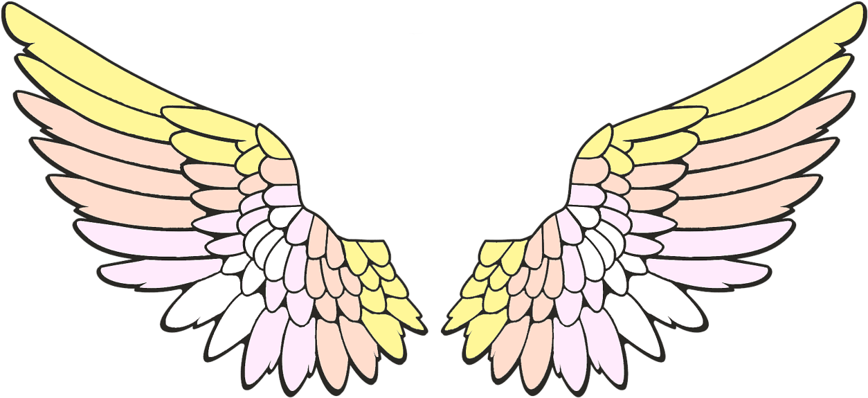 Angel Wings PNG