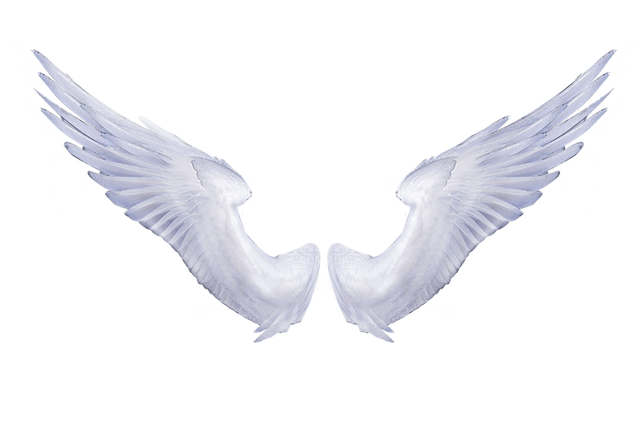Angel Wings PNG