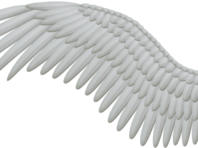 Angel Wings PNG