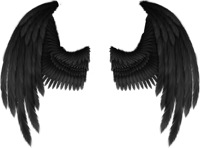Angel Wings PNG