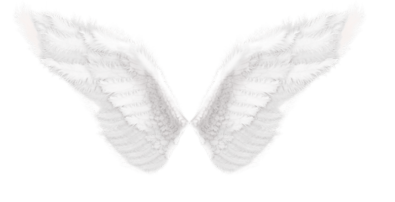 Angel Wings PNG