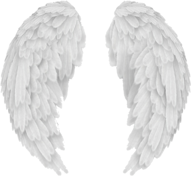 Angel Wings PNG