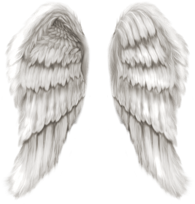 Angel Wings PNG