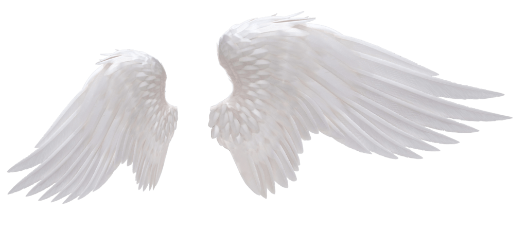 Angel Wings PNG