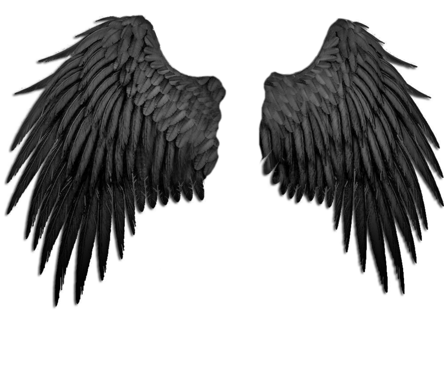 Angel Wings PNG