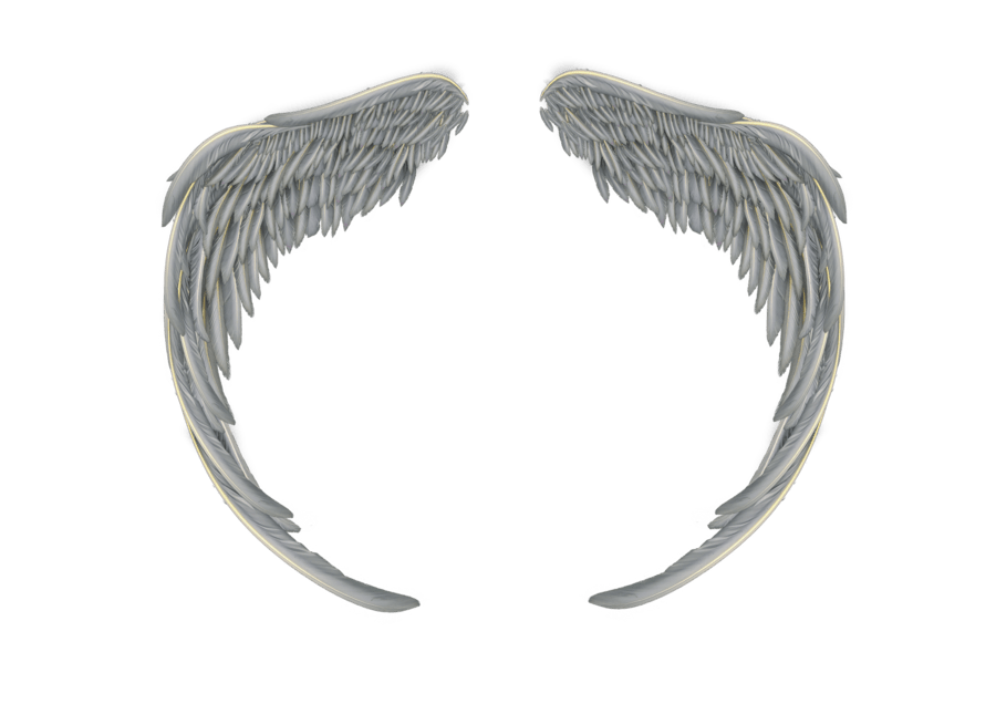 Angel Wings PNG