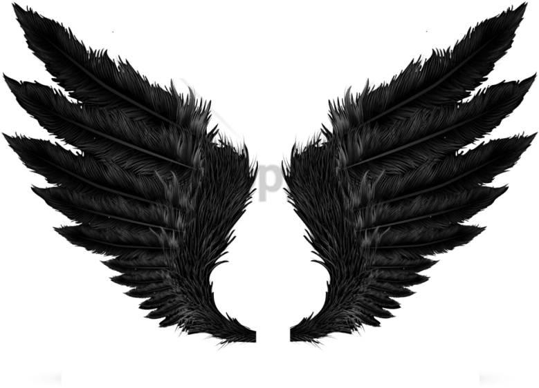 Angel Wings PNG