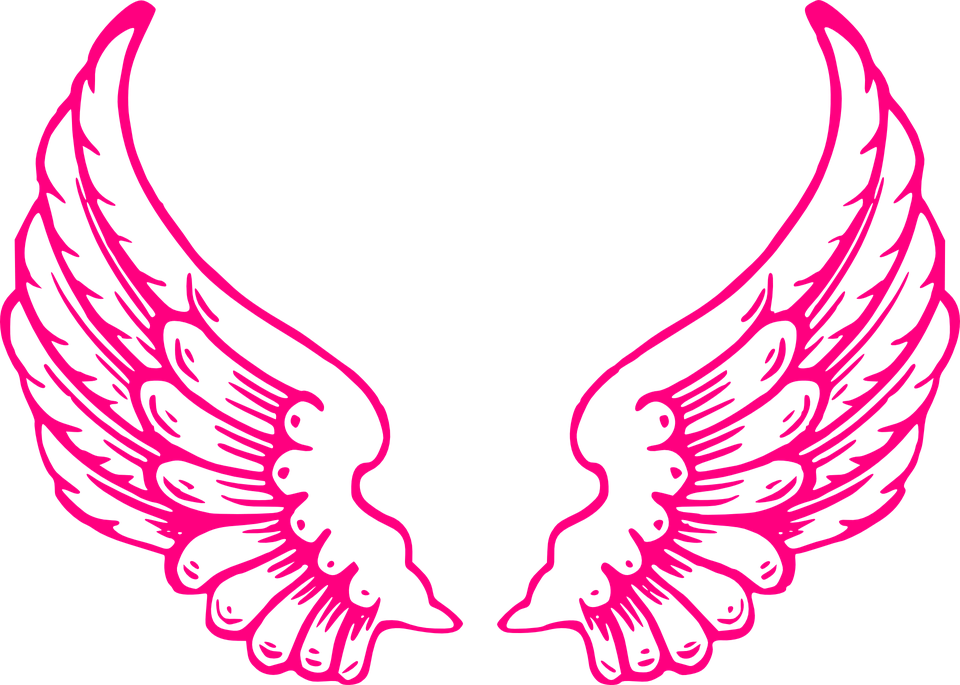 Angel Wings PNG