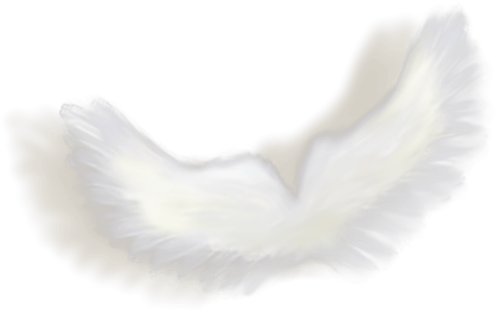 Angel Wings PNG