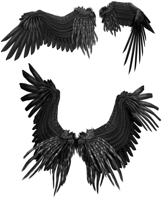 Angel Wings PNG