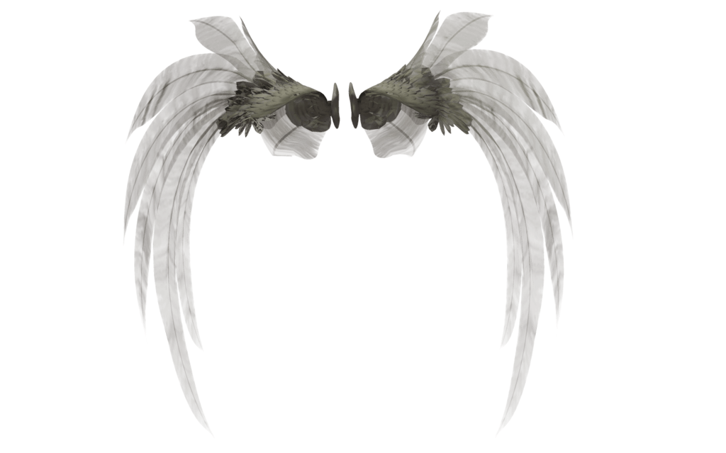 Angel Wings PNG
