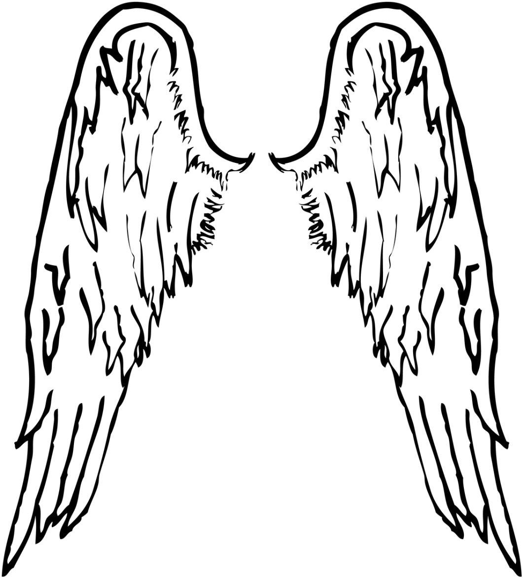 Angel Wings PNG
