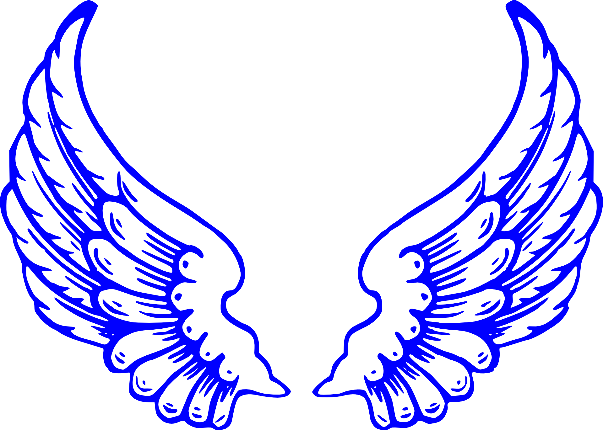 Angel Wings PNG