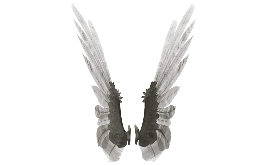 Angel Wings PNG