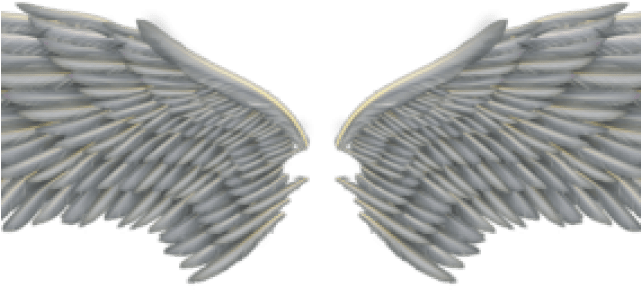 Angel Wings PNG