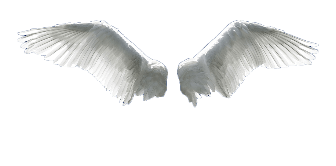 Angel Wings PNG