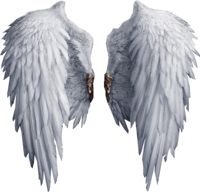 Angel Wings PNG
