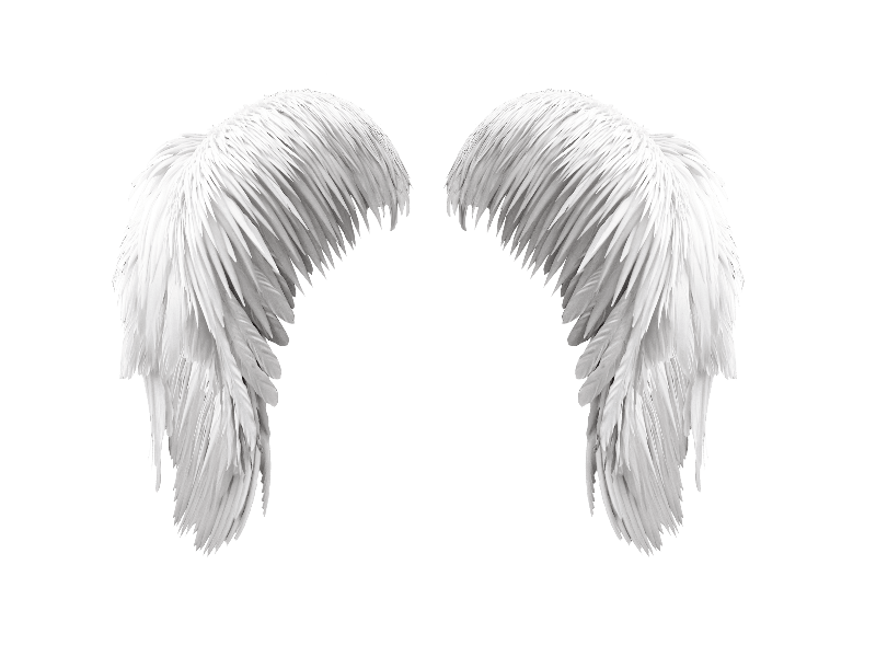 Angel Wings PNG