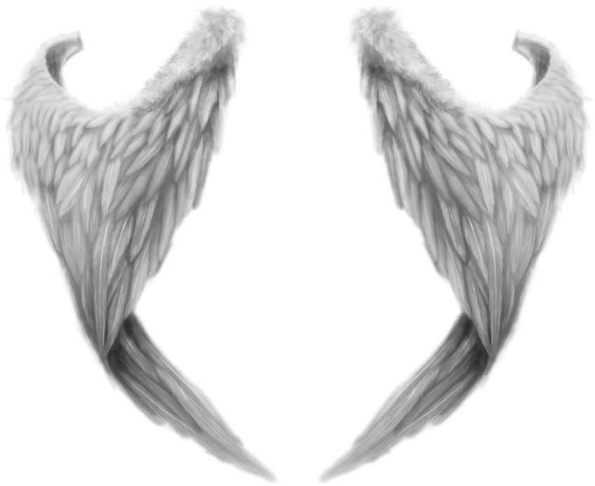 Angel Wings PNG