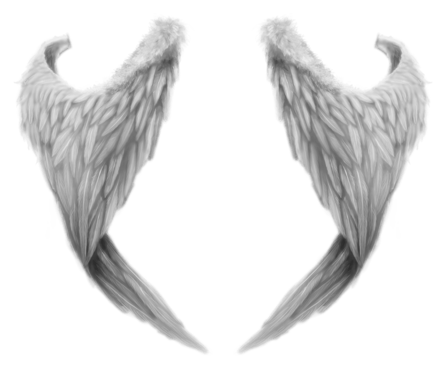 Angel Wings PNG