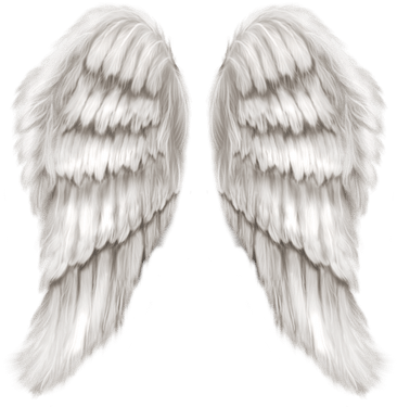 Angel Wings PNG