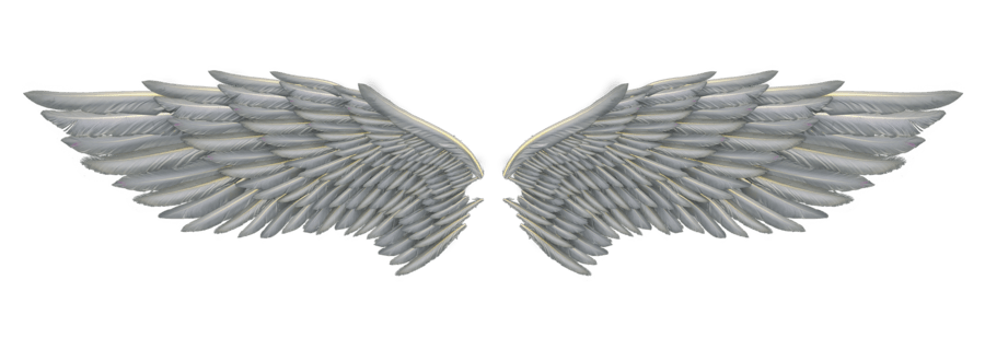Angel Wings PNG