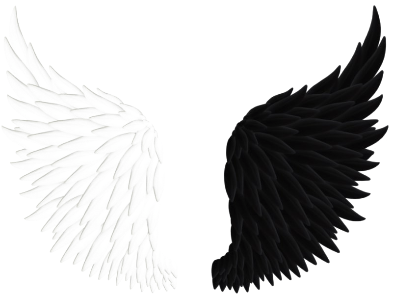 Angel Wings PNG