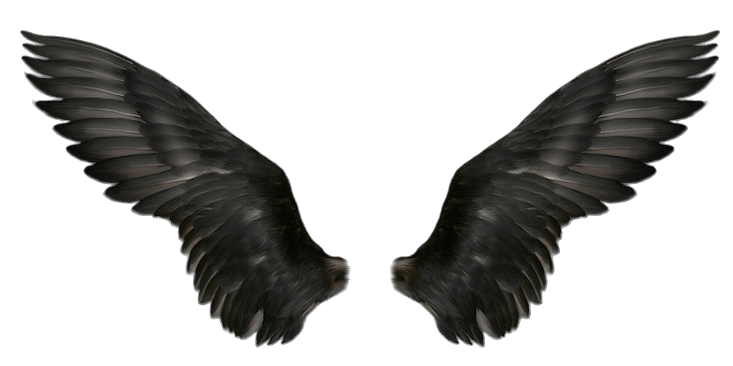 Angel Wings PNG