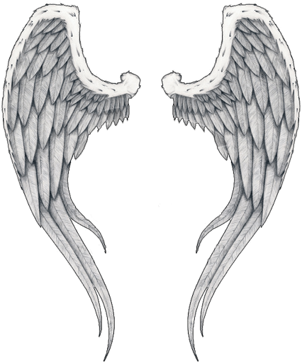 Angel Wings PNG