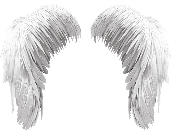 Angel Wings PNG
