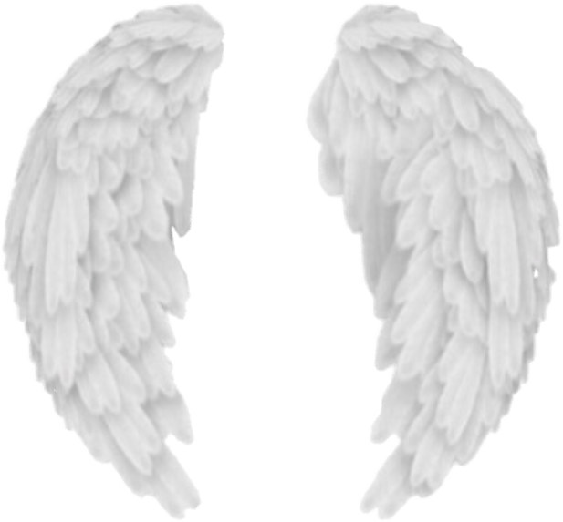 Angel Wings PNG