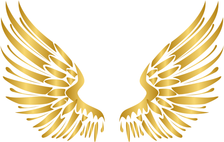 Angel Wings PNG