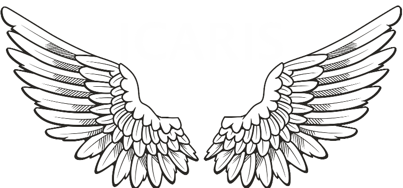 Angel Wings PNG