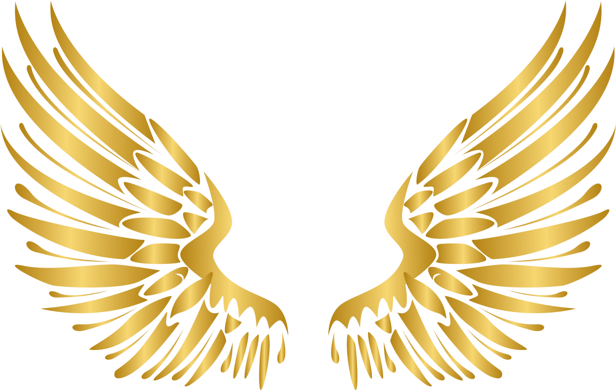 Angel Wings PNG