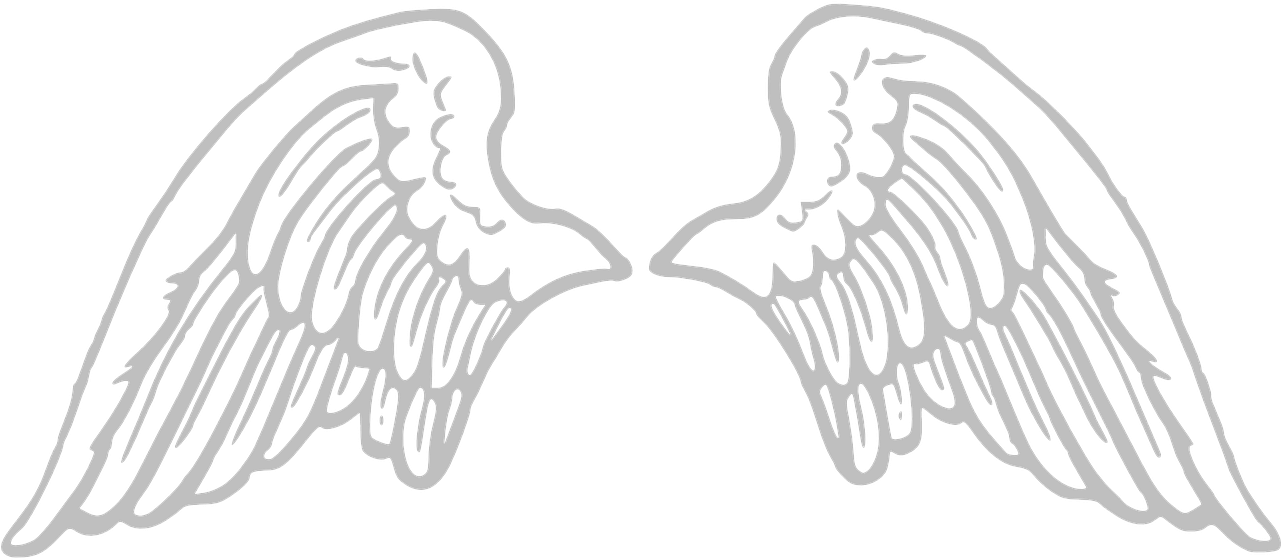 Angel Wings PNG